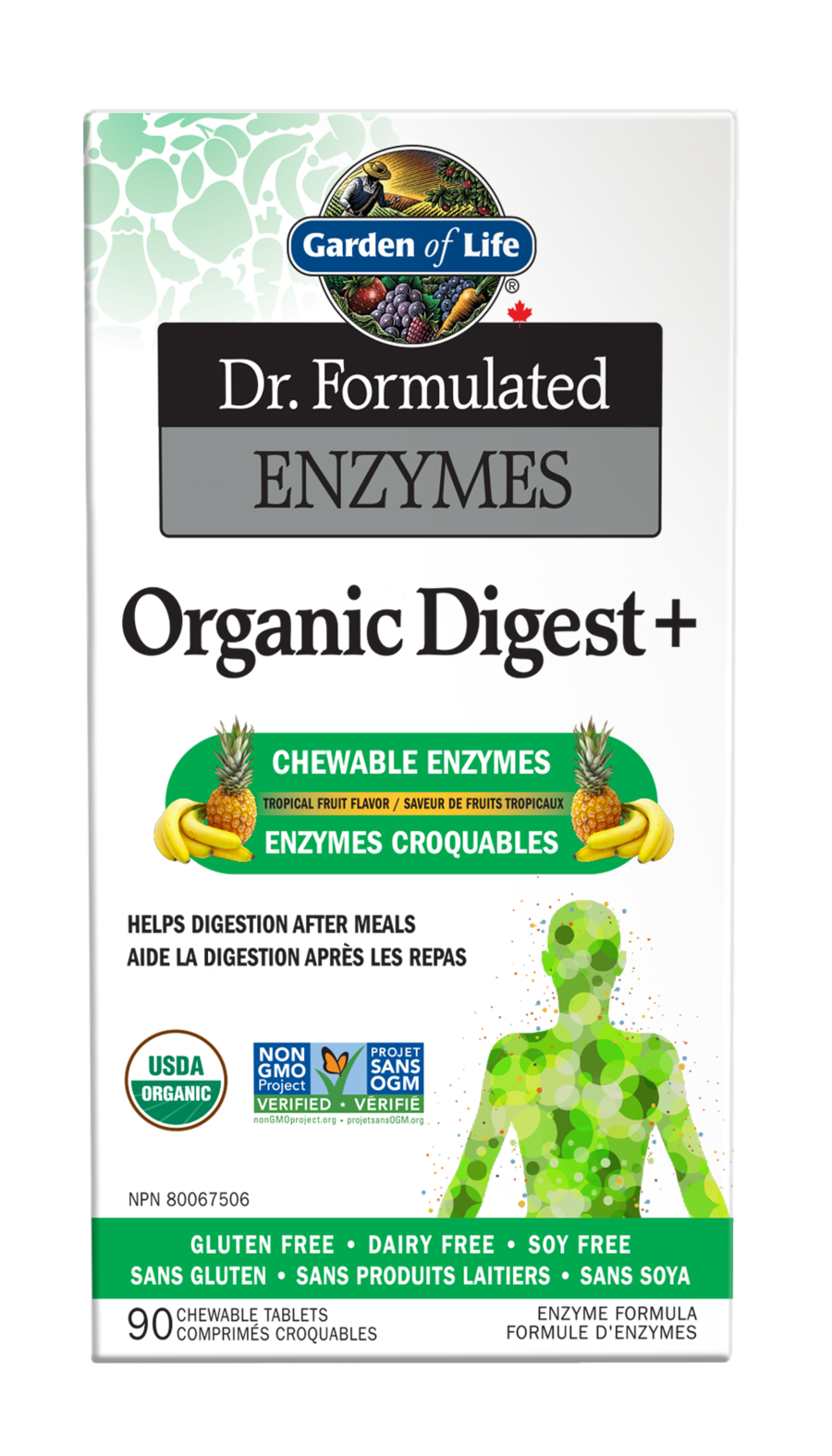Garden of Life Dr. Formulated Enzymes Organic Digest+ Chewables - JoyVIVA -  