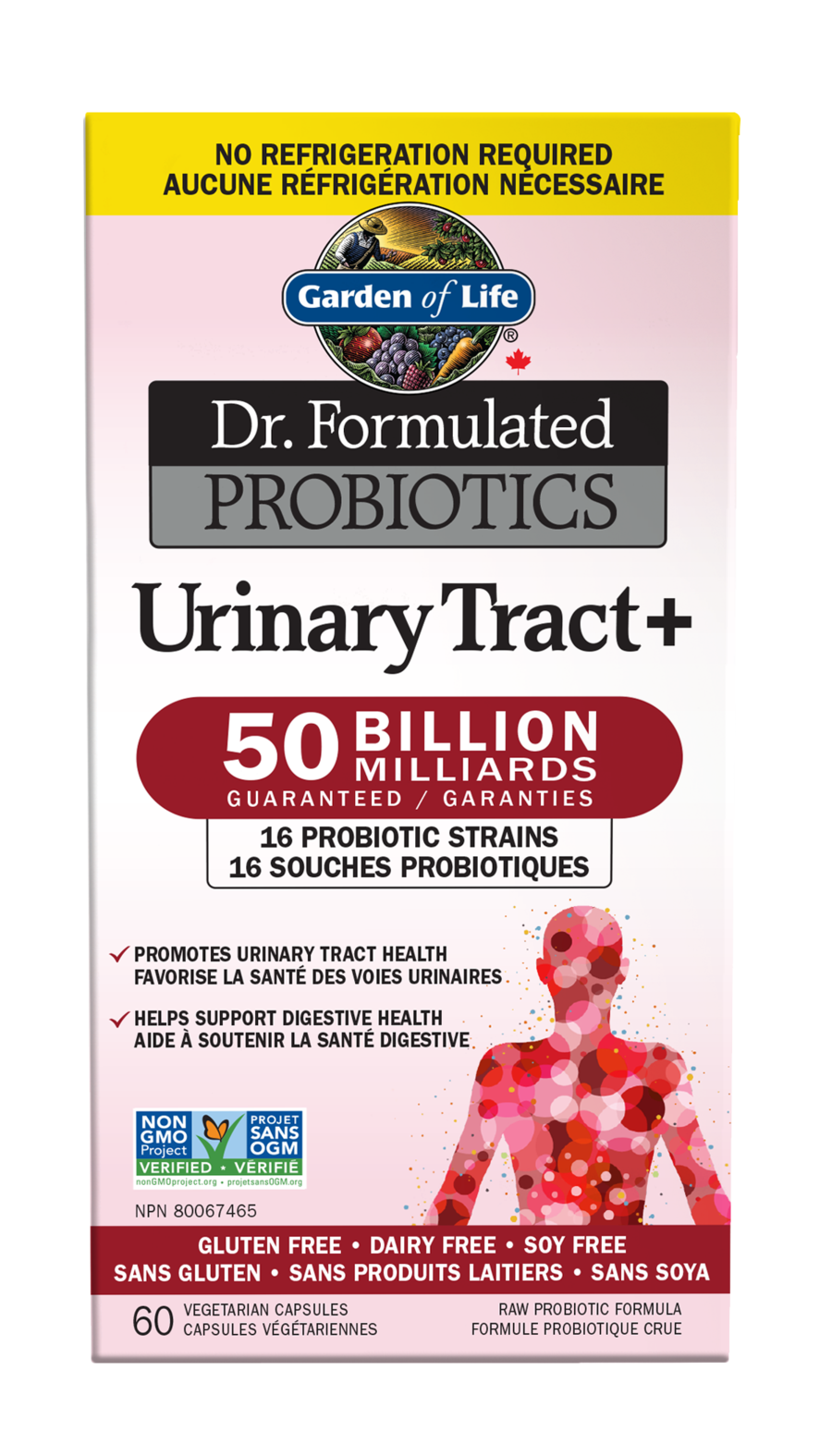 Garden of Life Dr. Formulated Probiotics Urinary Tract+ - JoyVIVA -  