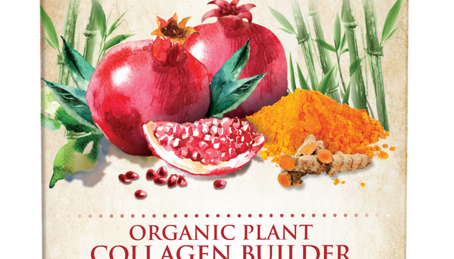 Garden of Life Mykind Organics Organic Plant Collagen Builder - JoyVIVA -  