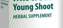 Genestra European Mistletoe Young Shoot - JoyVIVA -  