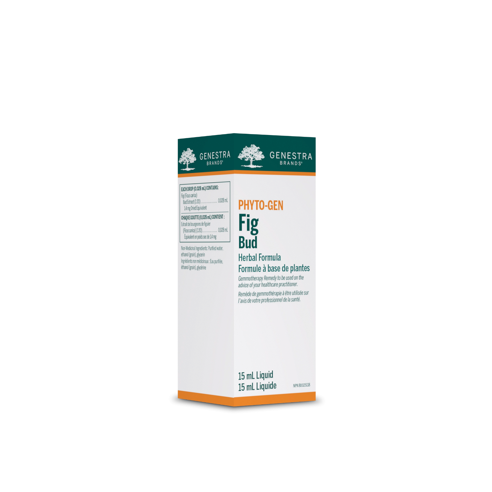 Genestra Fig Bud - JoyVIVA -  