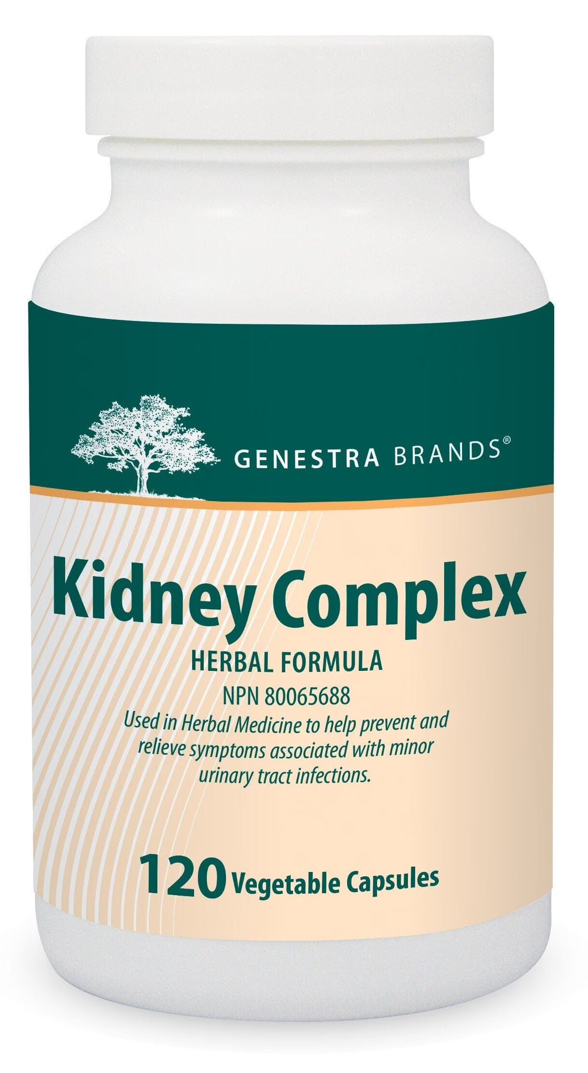 Genestra Kidney Complex - JoyVIVA -  