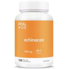 Heal + Co. Echinacea - JoyVIVA -  