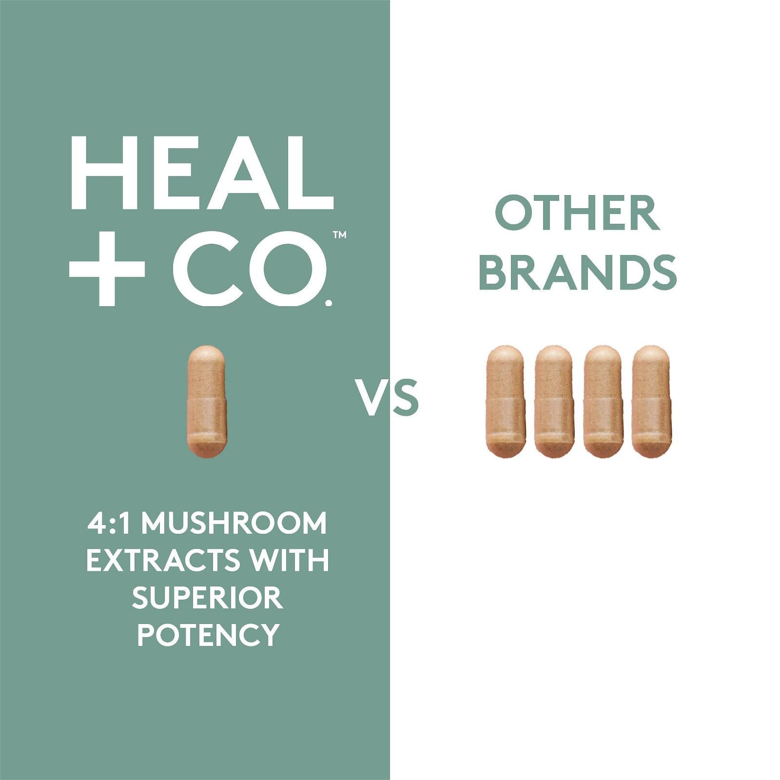 Heal + Co. Super Mushroom Complex - JoyVIVA -  