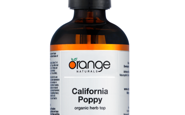 Orange Naturals California Poppy - JoyVIVA -  