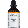 Orange Naturals California Poppy - JoyVIVA -  