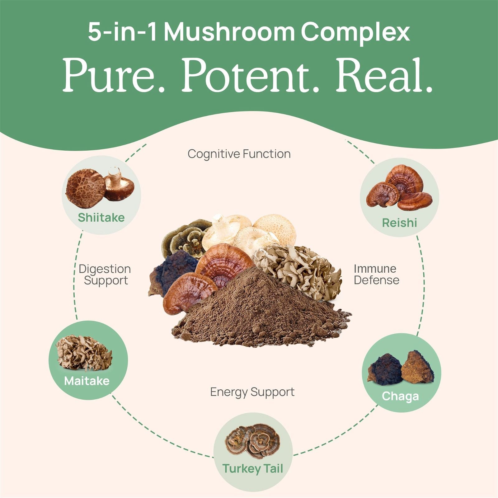 Real Mushrooms 5 Defenders Organic Mushroom Blend - JoyVIVA -  