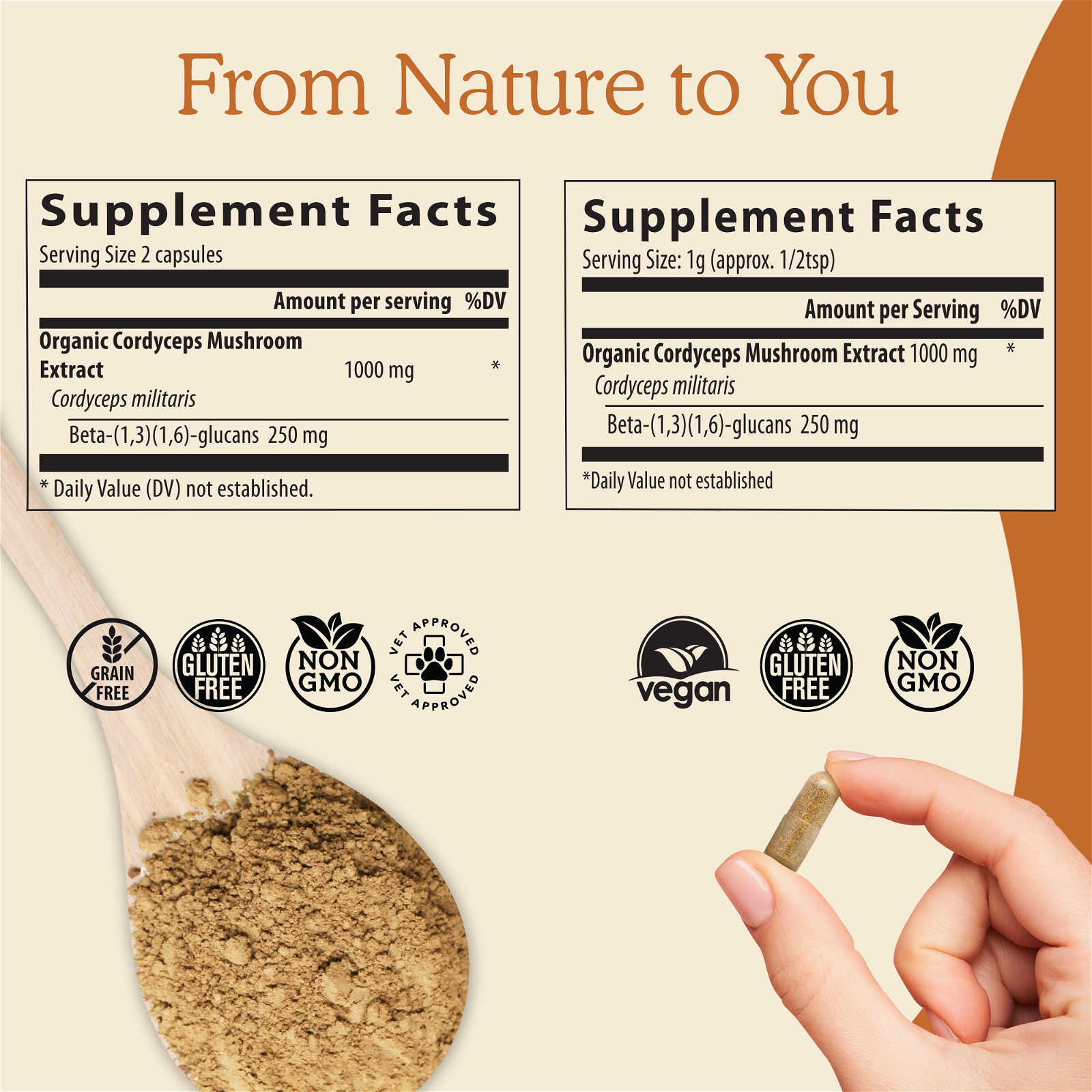 Cordyceps Mushroom Supplement for Health and Performance