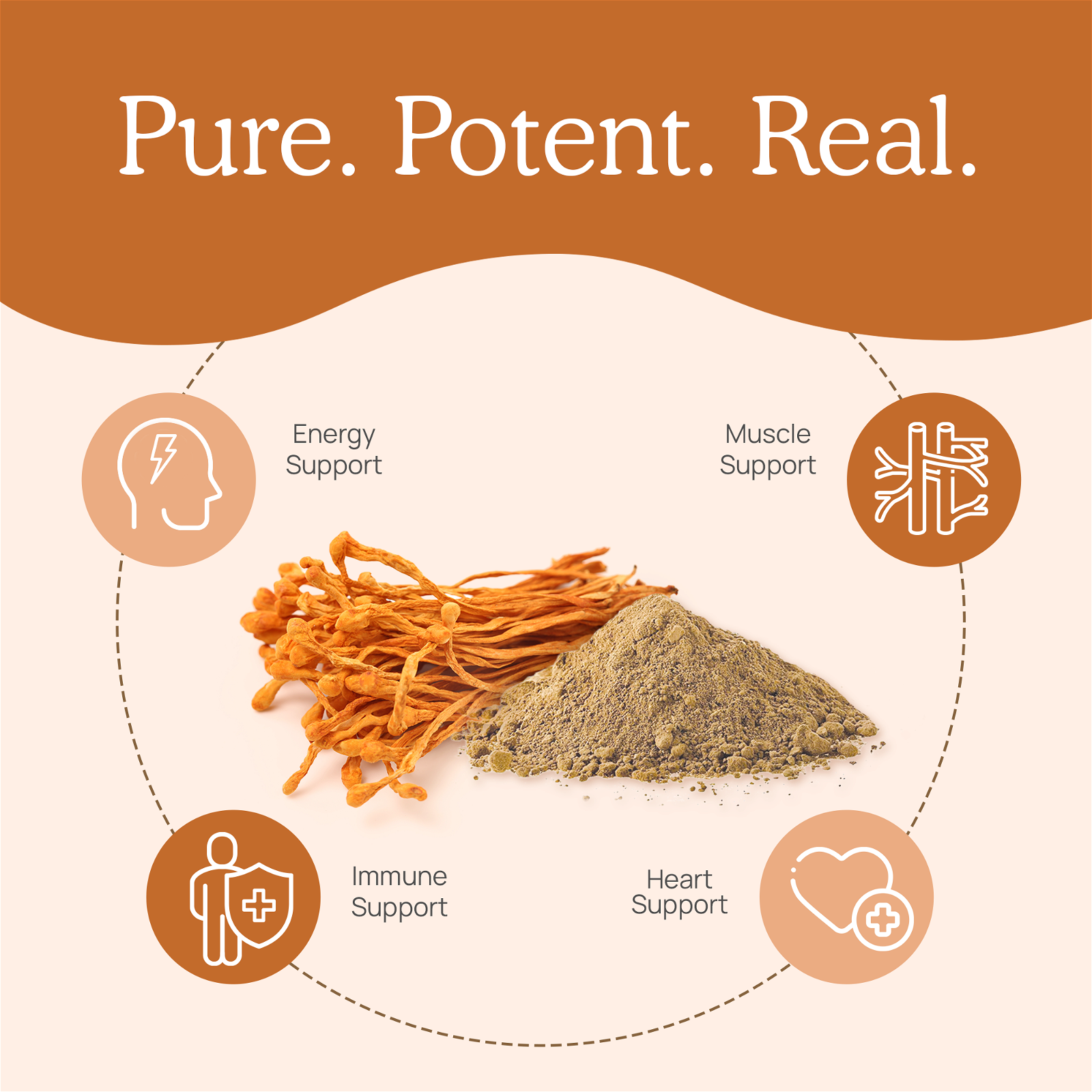 Real Mushrooms Cordyceps Extract - JoyVIVA -  