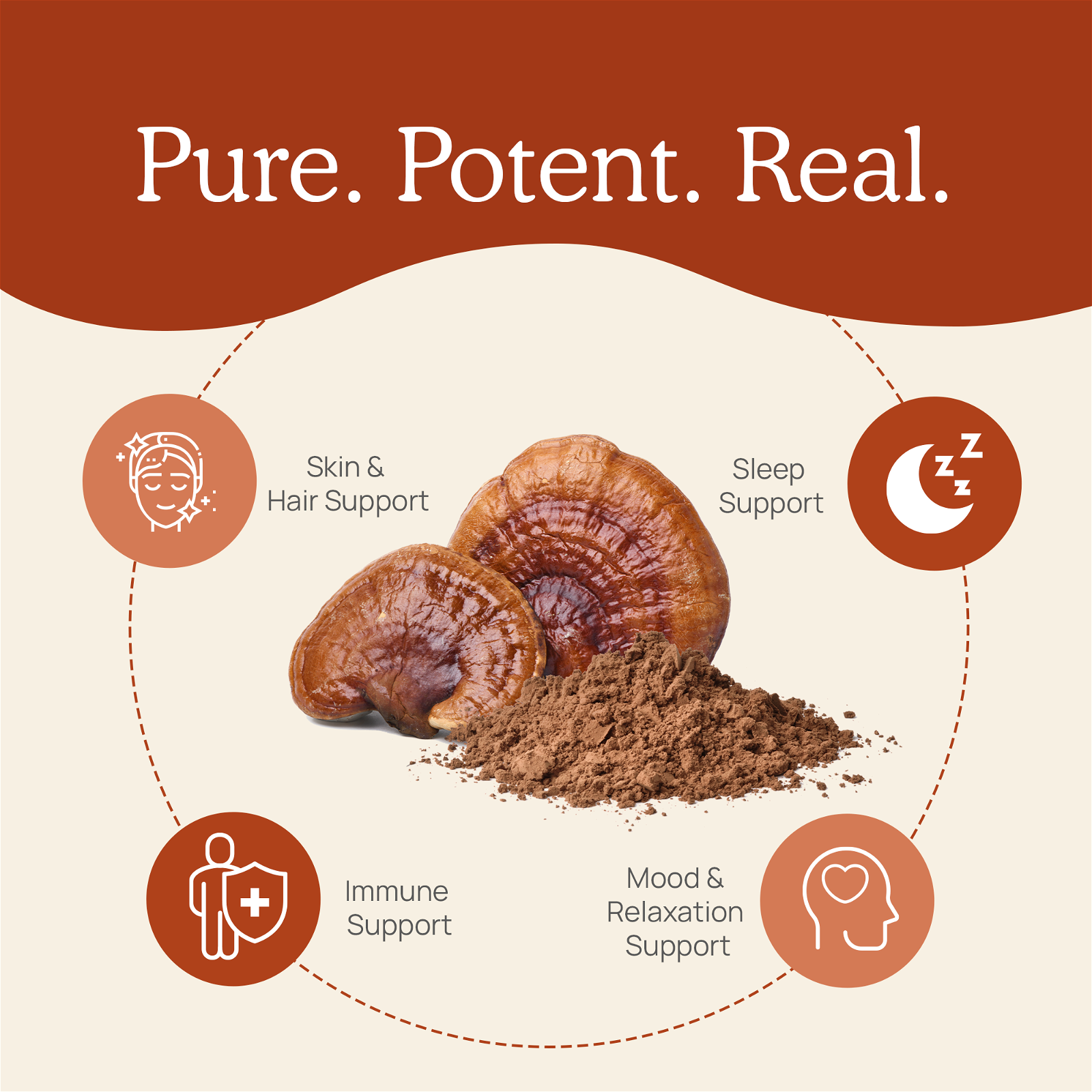 Real Mushrooms Organic Reishi Mushroom - JoyVIVA -  