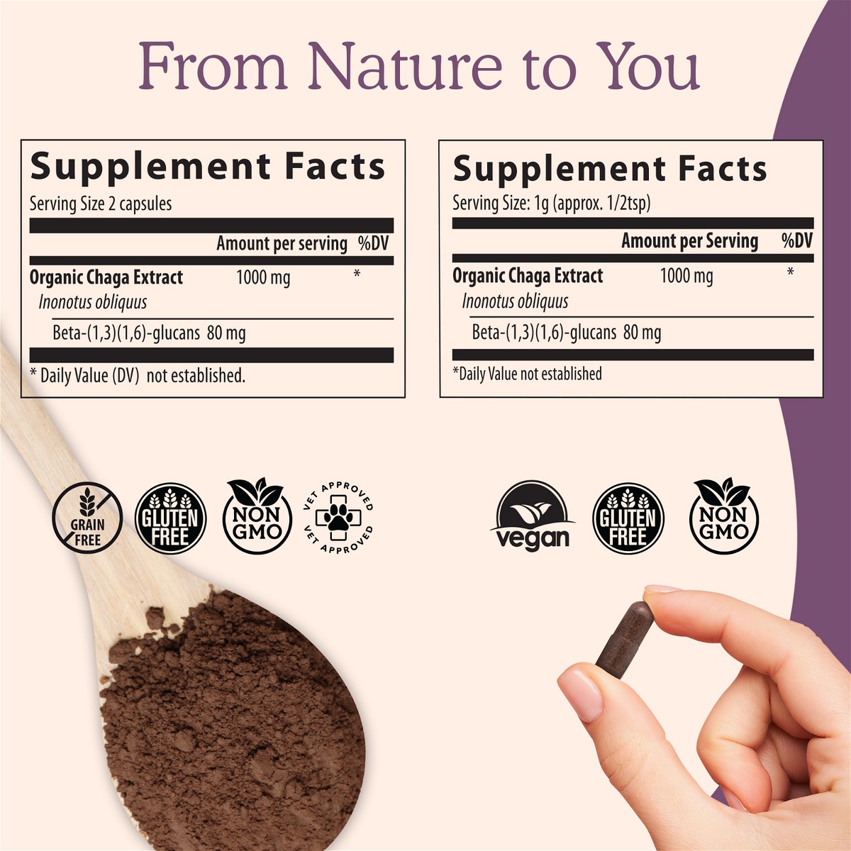 Real Mushrooms Organic Siberian Chaga Extract - JoyVIVA -  