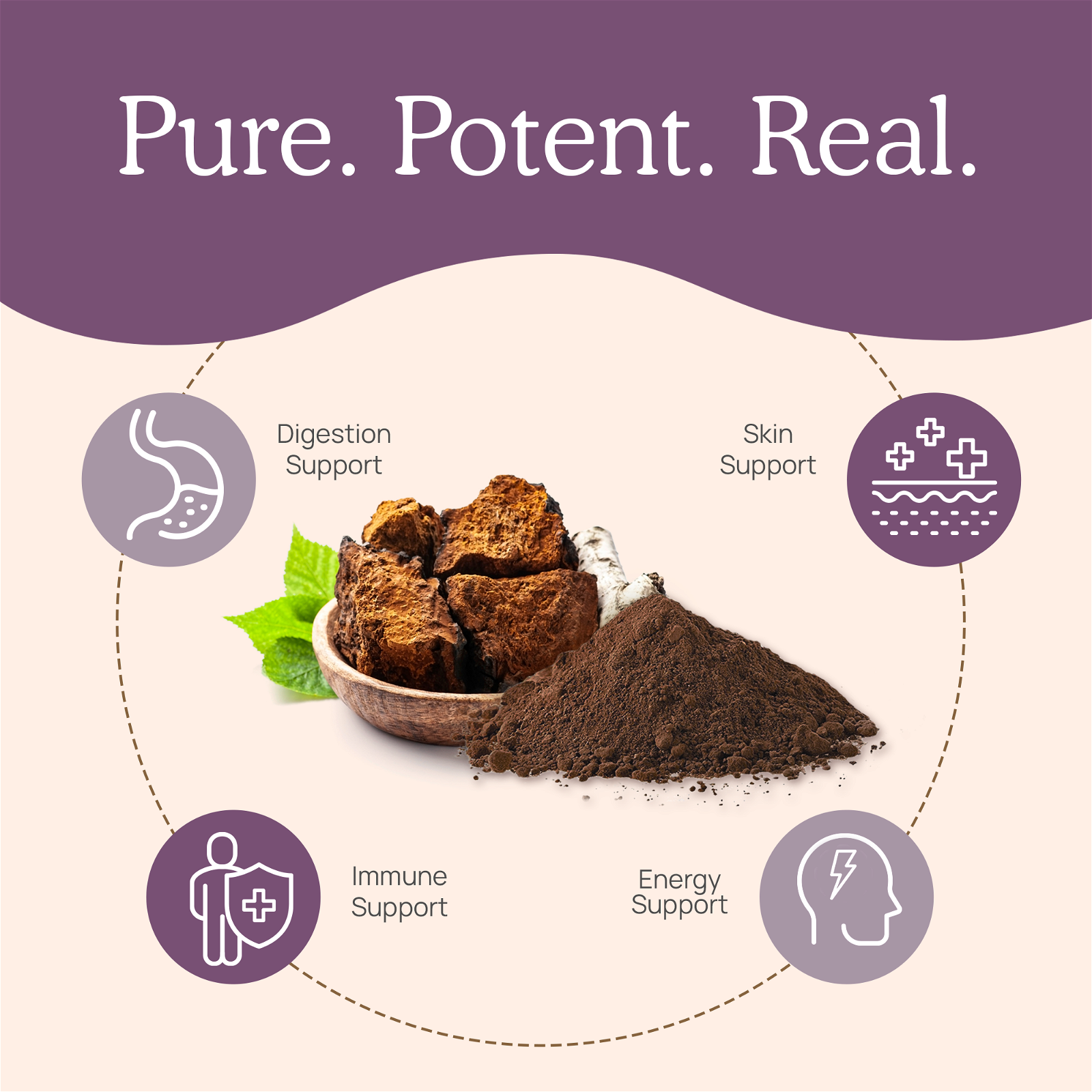 Real Mushrooms Organic Siberian Chaga Extract - JoyVIVA -  