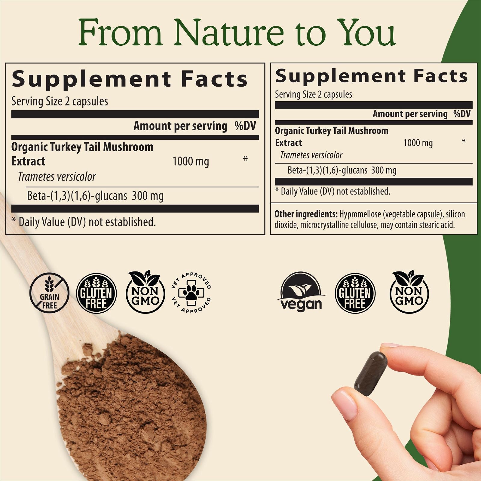 Real Mushrooms Turkey Tail Extract - JoyVIVA -  