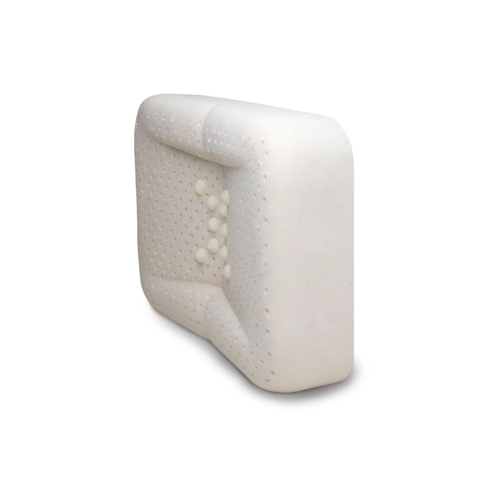 enVy SILK Covered Organic Latex Anti-Aging Pillow - JoyVIVA -  