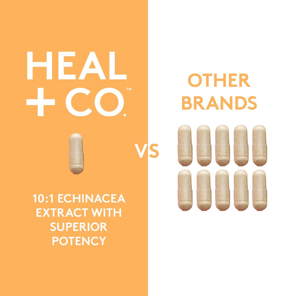 Heal + Co. Echinacea