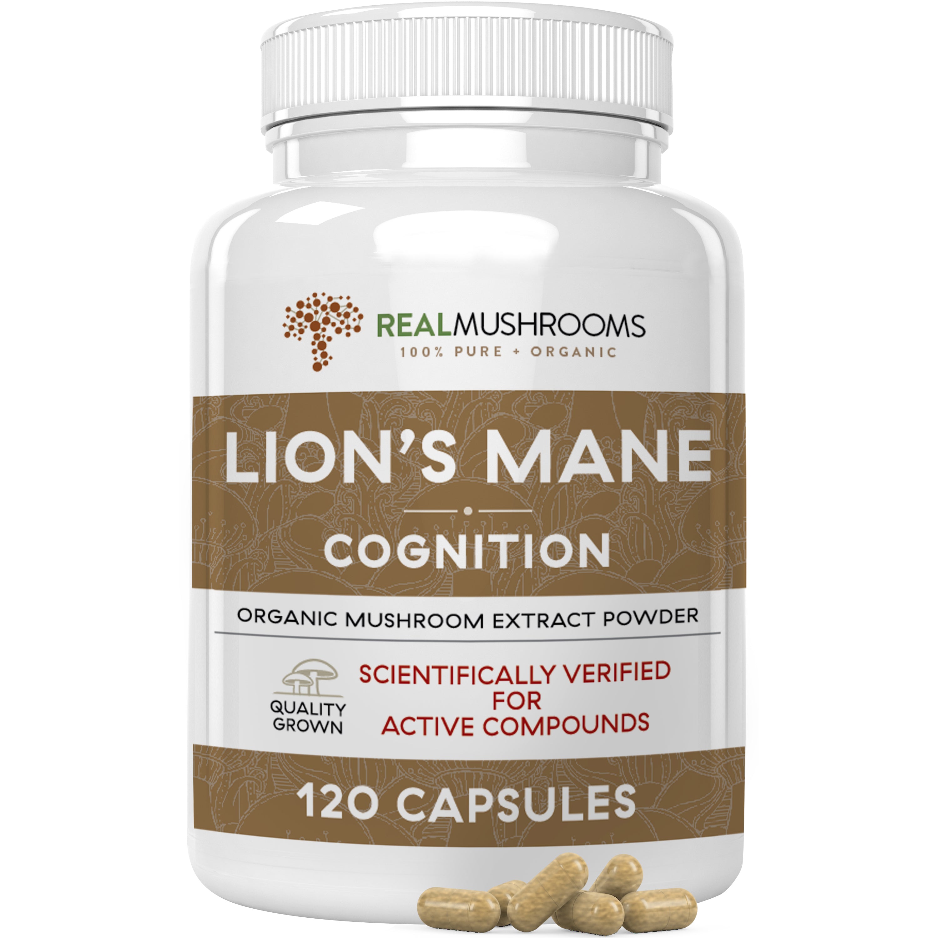 Real Mushroom Lions Mane Extract